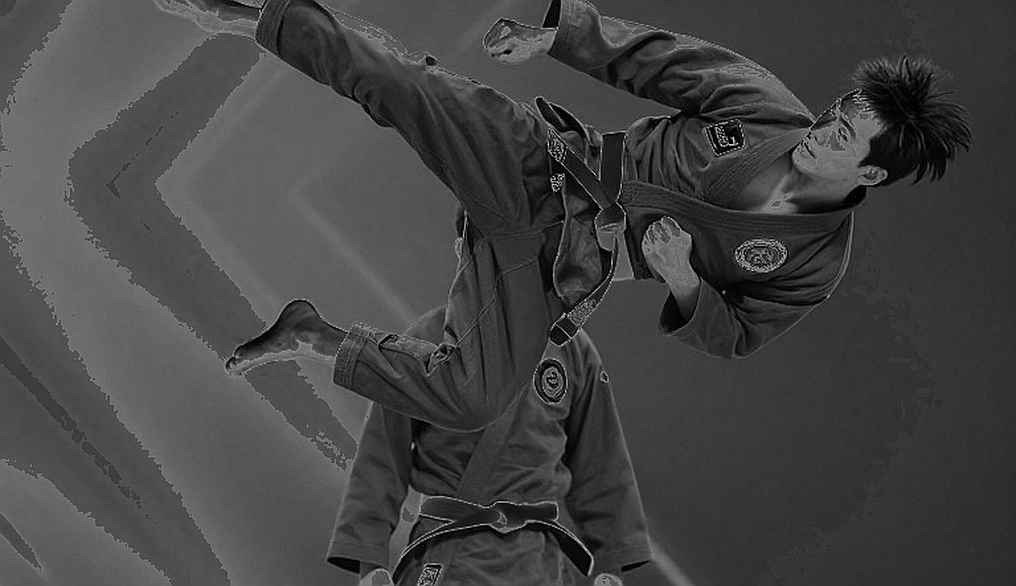 A Transfer Window Without a Price Tag: Vietnamese Martial Arts and the Data Gap