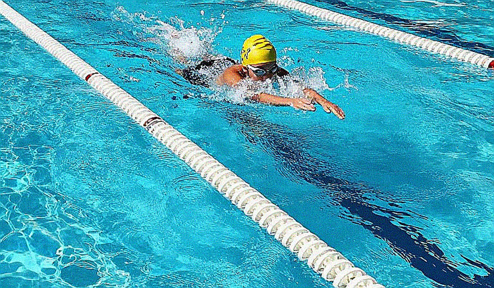 Nguyen Huy Hoang and the Numbers That Don't Lie: A Data-Driven Analysis of SEA Games 32 Swimming Nguyen Huy Hoang and the Numbers That Don't Lie: A Data-Driven Analysis of SEA Games 32 Swimming